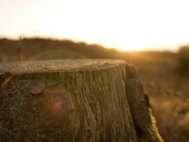 sudoku hidden singles screenshot 1